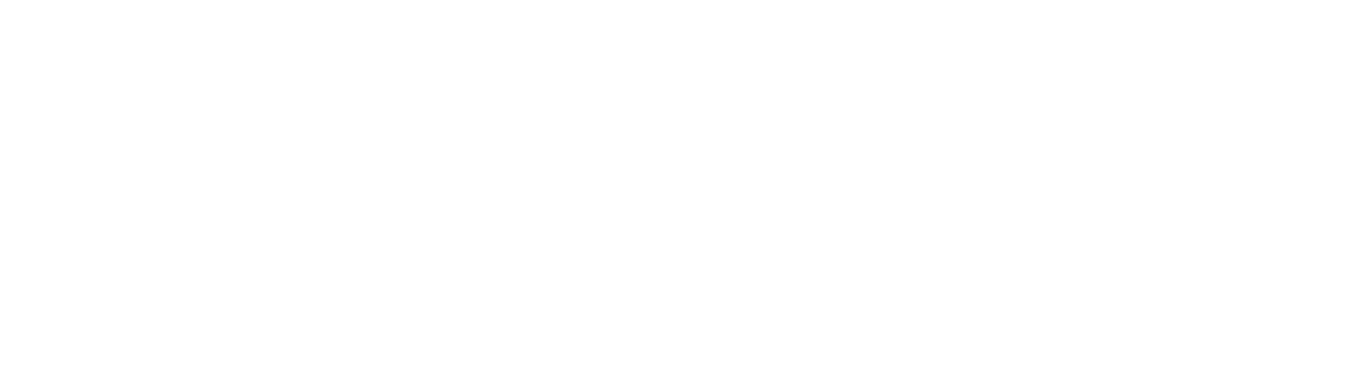 EU logo