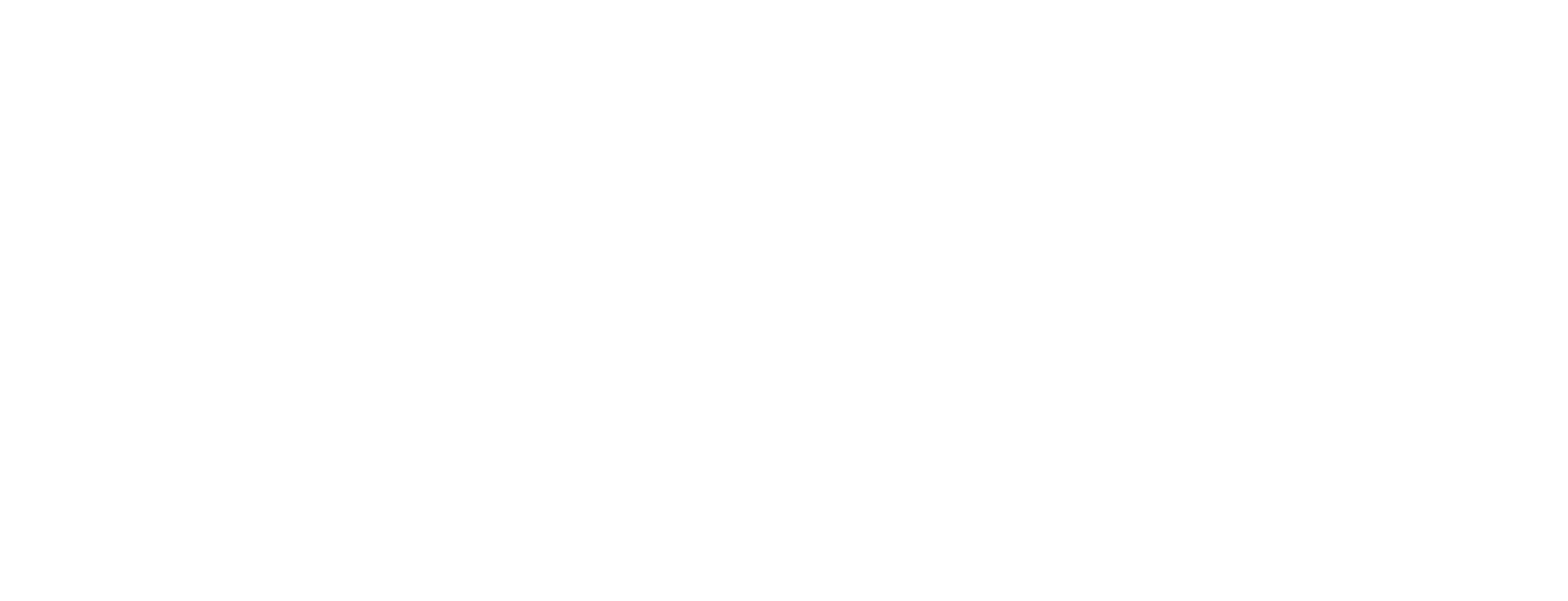 NPO logo
